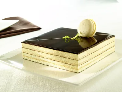 Теграл Бисквит