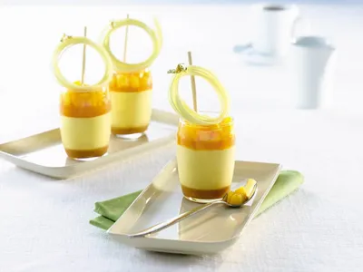 Топфил манго