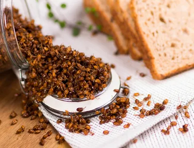 Софтгрейн пророщенная пшеница